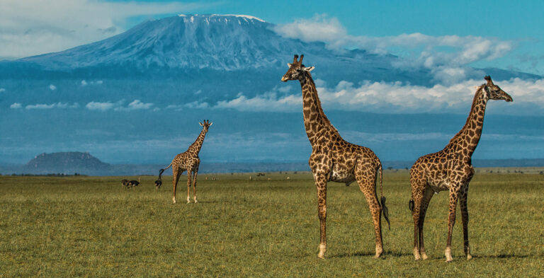 3 Days Safari Tsavo East & Amboseli